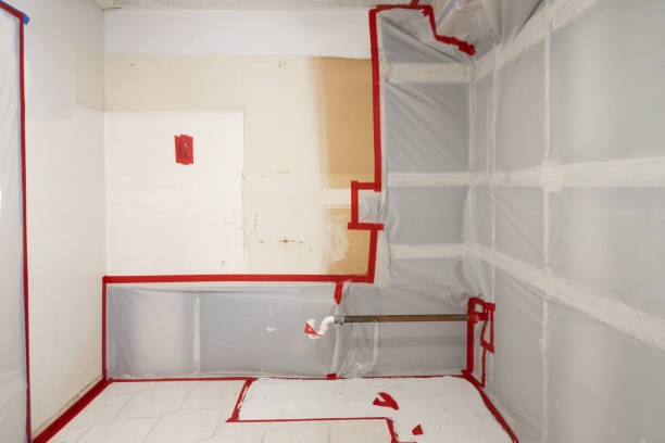 Best Black Mold Removal  in Shpee Neck, MA